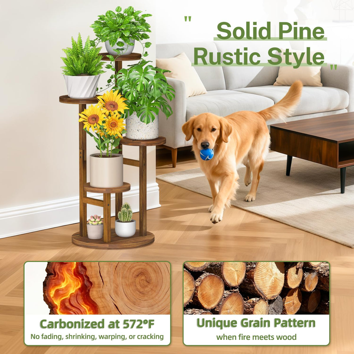 iDavosic.ly solid pine wood plant display rack highlights tall orchid arrangements.