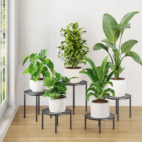 idavosic.ly easy-assembly plant stand set for fast setup and display.