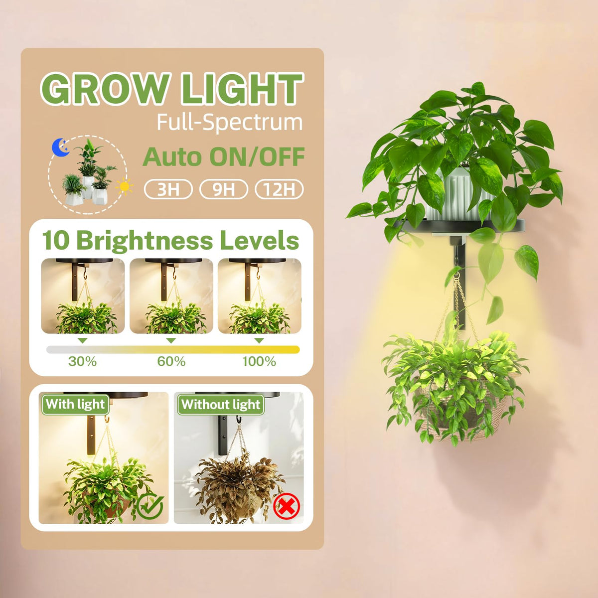 iDavosic.ly floating flower display stand on a window sill for bright plant display