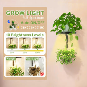 iDavosic.ly floating flower display stand on a window sill for bright plant display