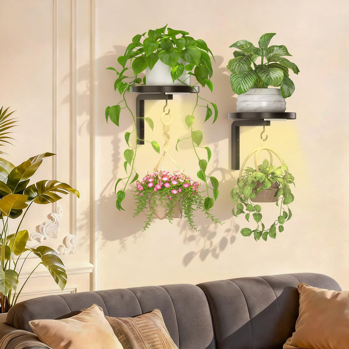iDavosic.ly window shelf keeps pets away while showcasing plants