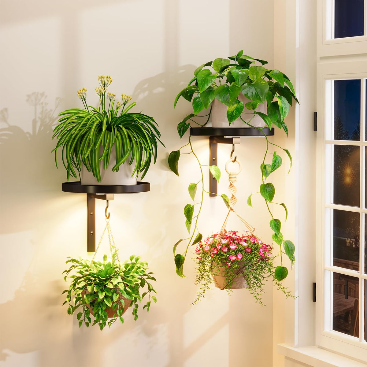 iDavosic.ly wall plant holder with grow lights, sturdy two-pack for indoor vertical gardening