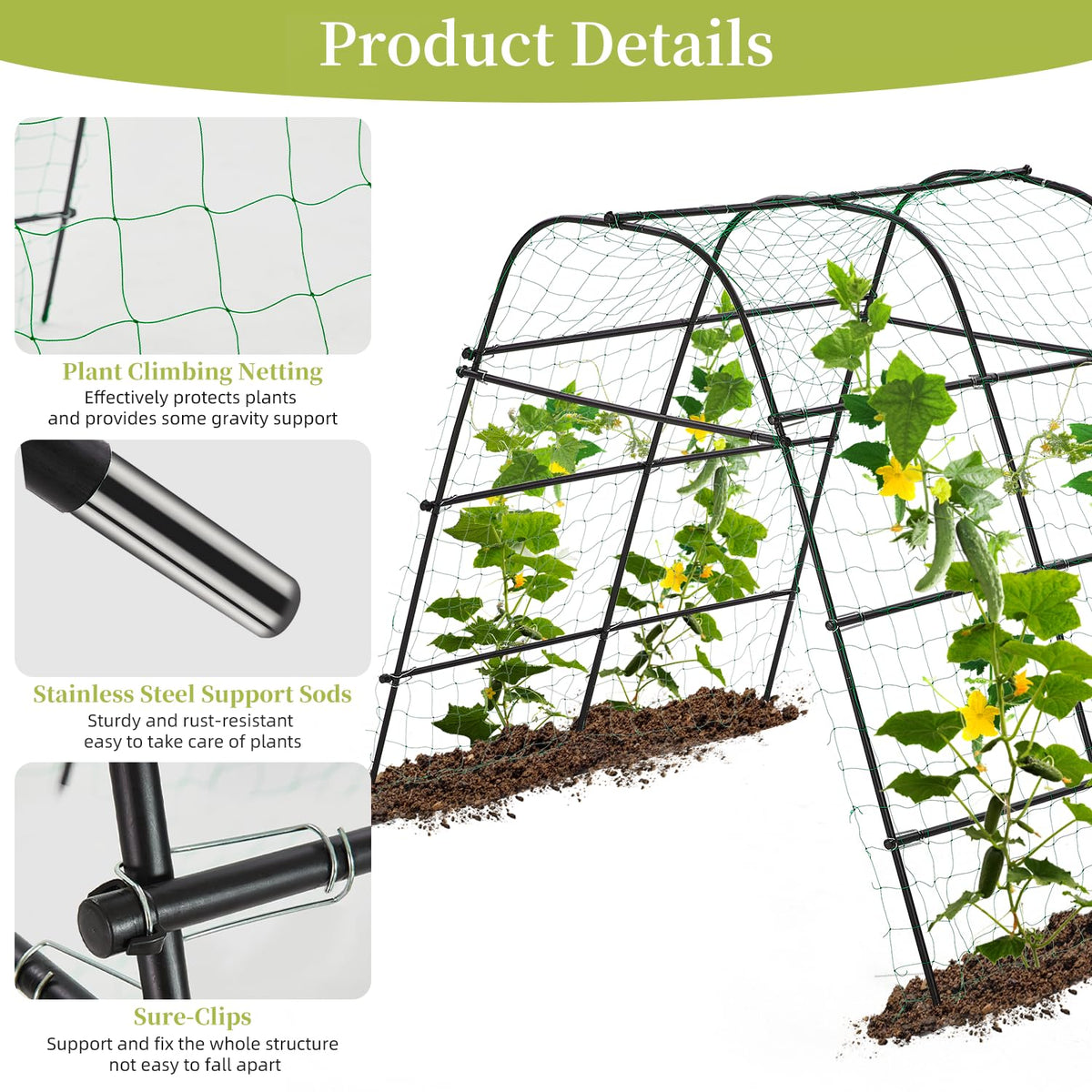 Galvanized iron pipe framework offers durable outdoor use