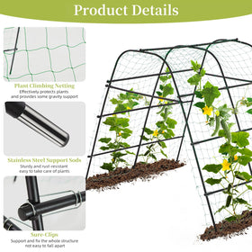 Galvanized iron pipe framework offers durable outdoor use