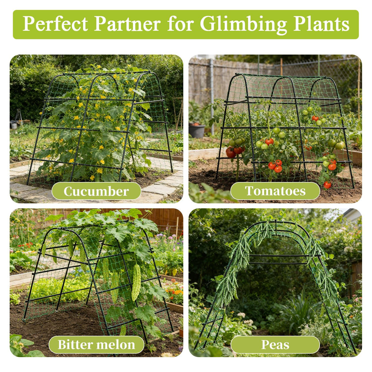 IDEA FAMILY netting for climbing plants keeps fruits elevated and inspection easy