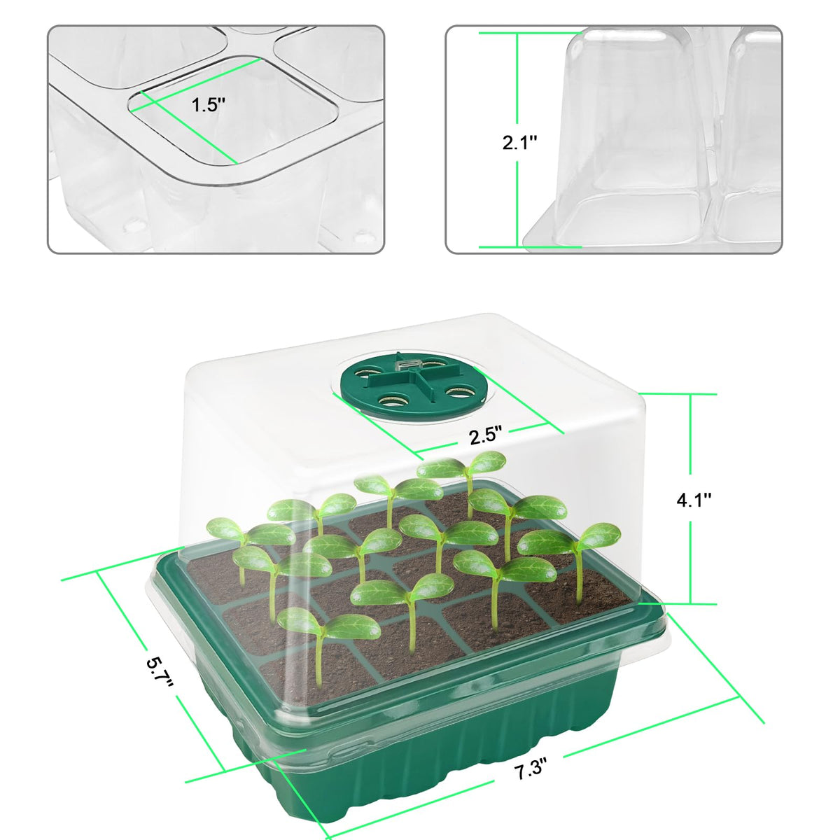 Idealife seed starter tray 12-cell layout keeps seeds organized for efficient germination