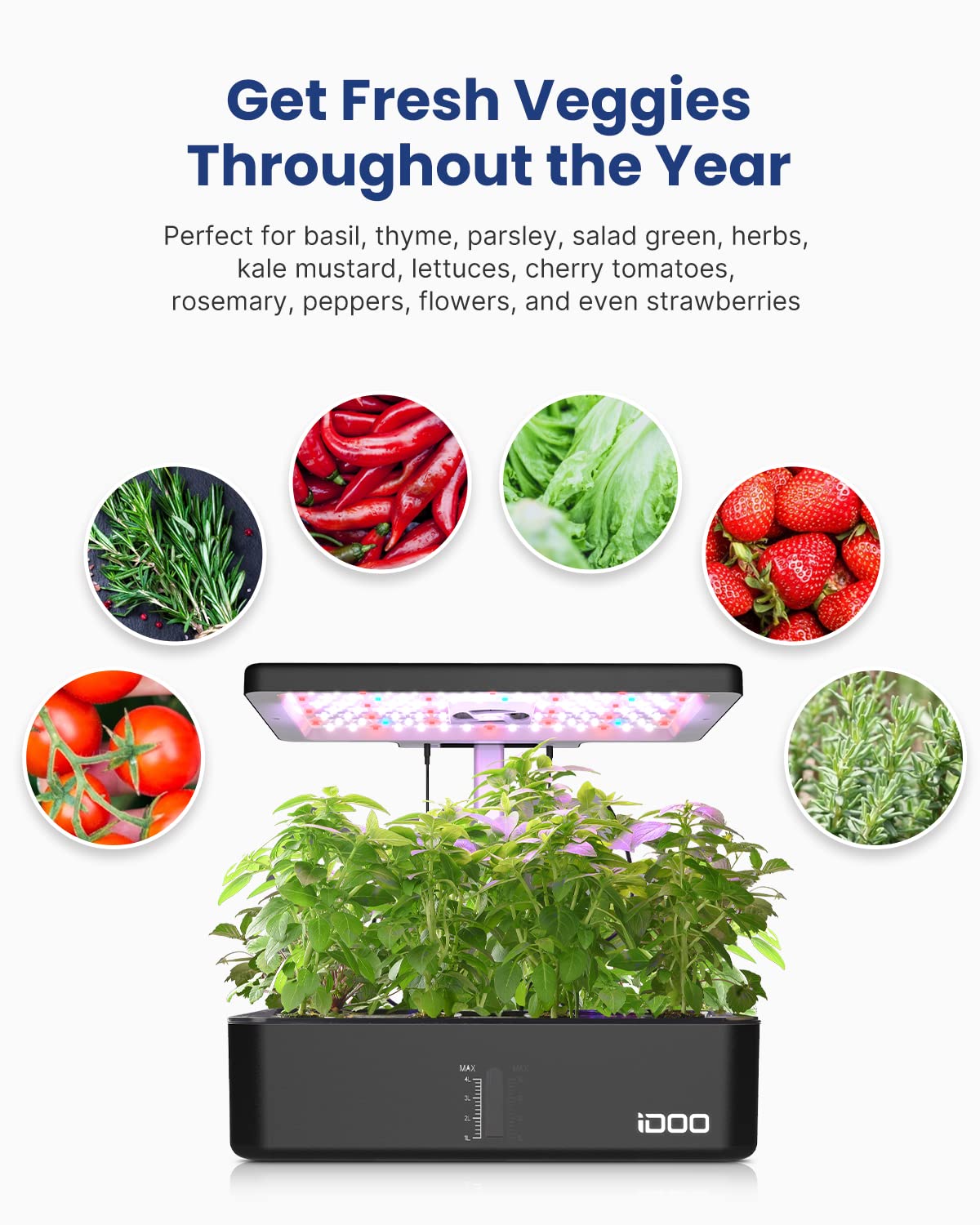 iDOO grows 12 plants at once—efficient indoor garden.