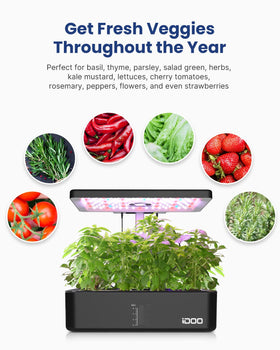 iDOO grows 12 plants at once—efficient indoor garden.