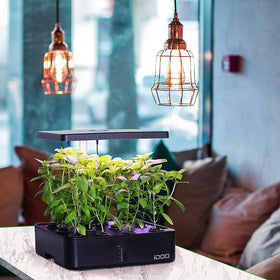 iDOO Growth Sponges promote transplant-ready seedlings after rooting