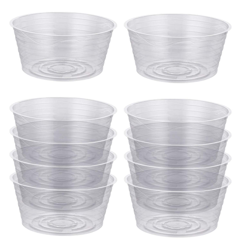 Idyllize clear 8in plant saucer top view protects surfaces from leaks.