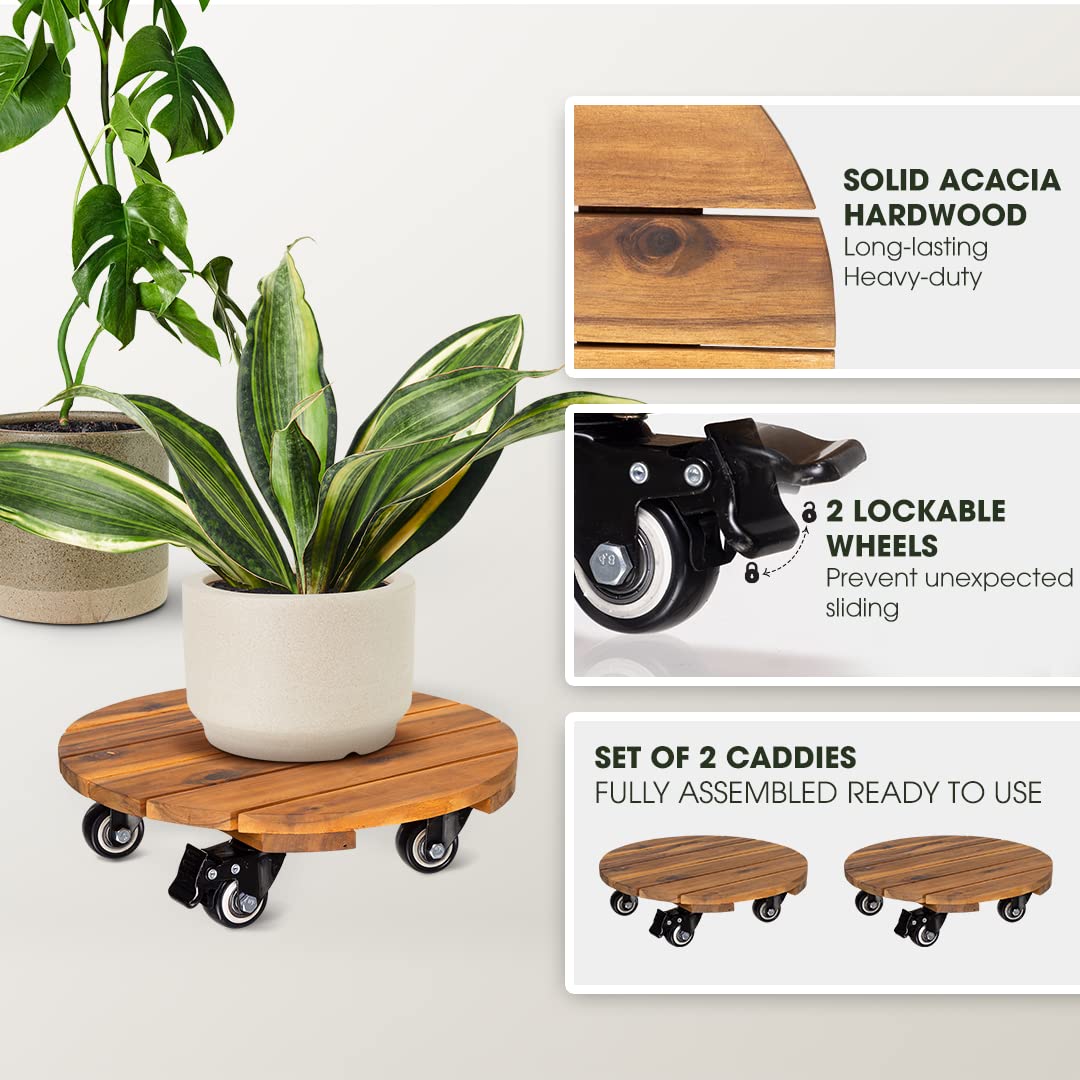 Idzo acacia hardwood plant dolly supports heavy pots with smooth rolling performance.