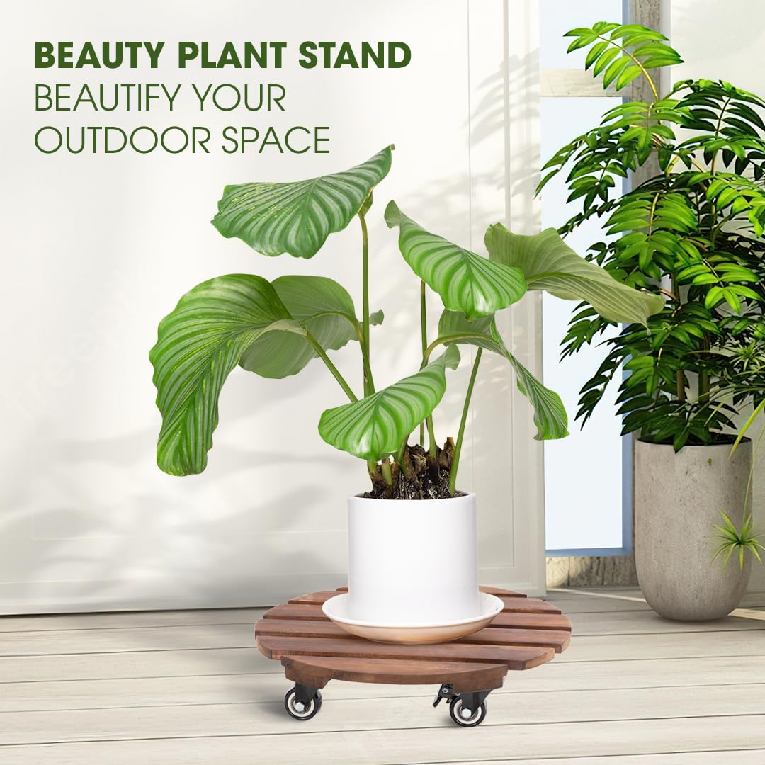 Idzo acacia wood plant caddy supports up to 264 lbs for large planters and heavy items.