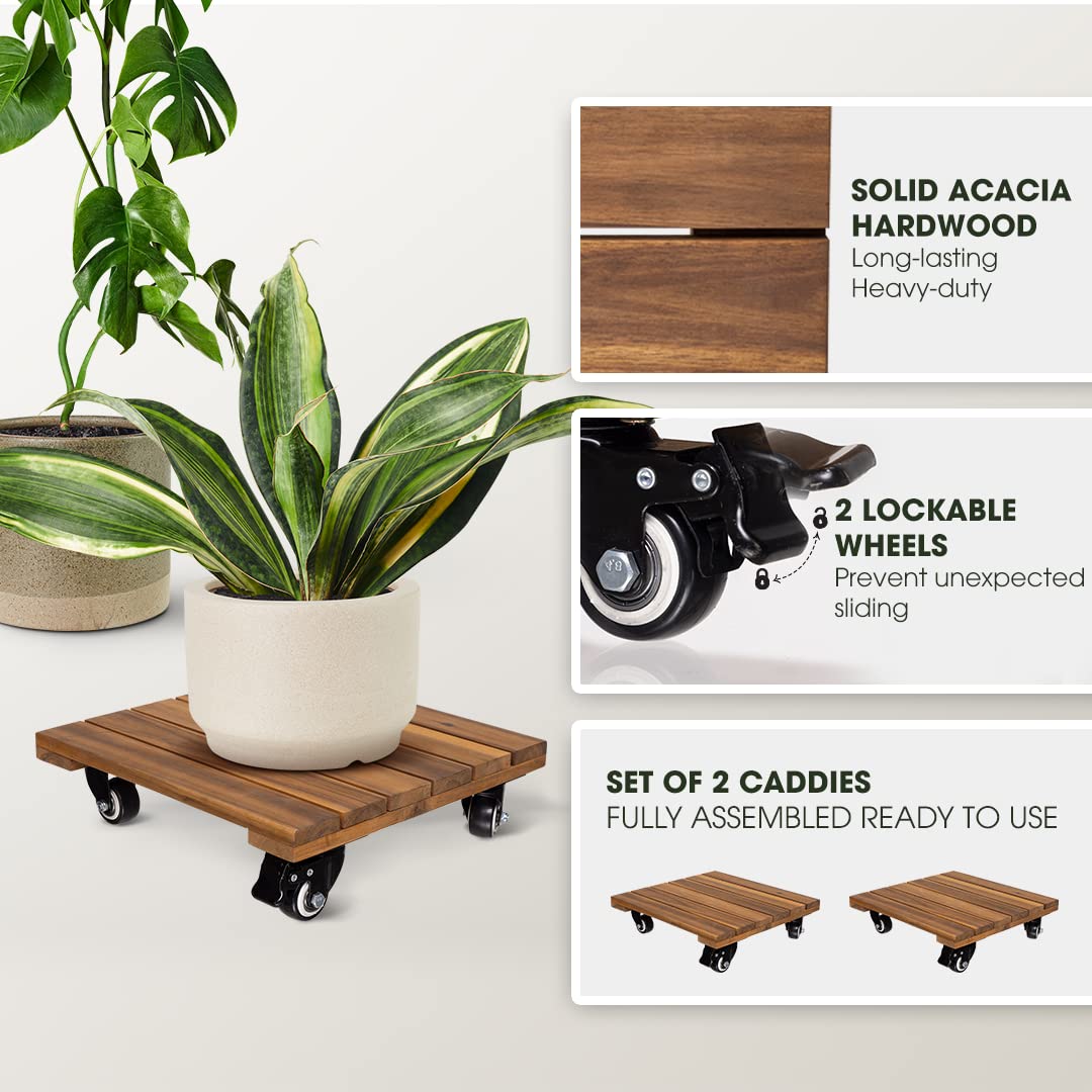 IDZO acacia wood plant dolly supports up to 264 lbs.