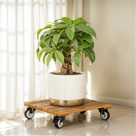 IDZO acacia wood dolly with lockable wheels for heavy items.
