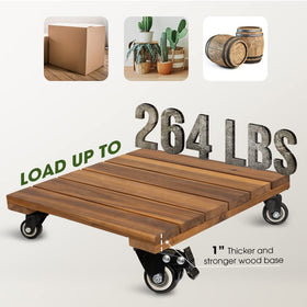 IDZO indoor-outdoor plant caddy offers mobility and style for sunlit corners.