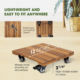 IDZO indoor-outdoor plant caddy for versatile placement.