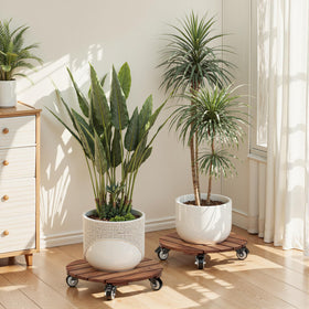 IDZO plant care made easier with smooth gliding on various surfaces