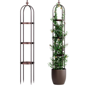 IDZO Trellis with stone-coated obelisk stands in a sunny garden guiding climbing roses elegantly