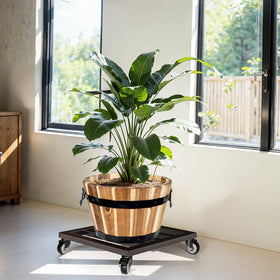 IDZO lockable trolley side view demonstrates compact size and mobility for plant displays