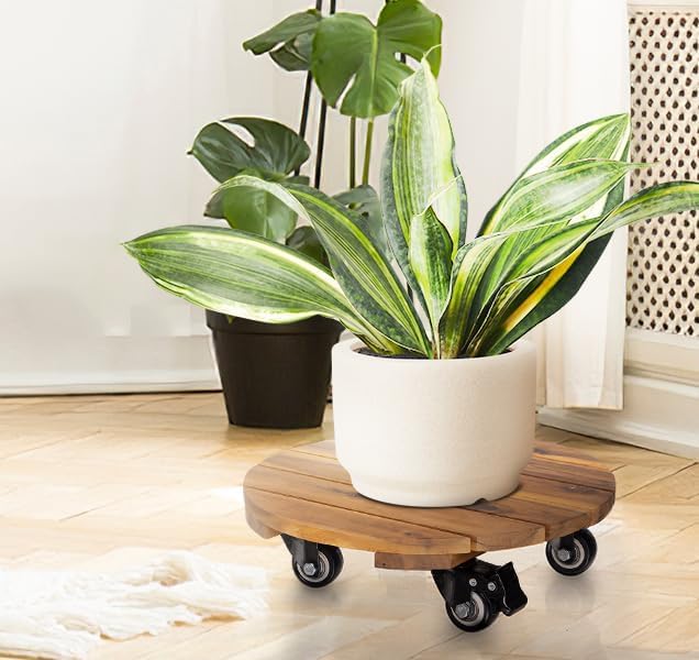 IDZO round caddy design saves space for indoor or outdoor decor.