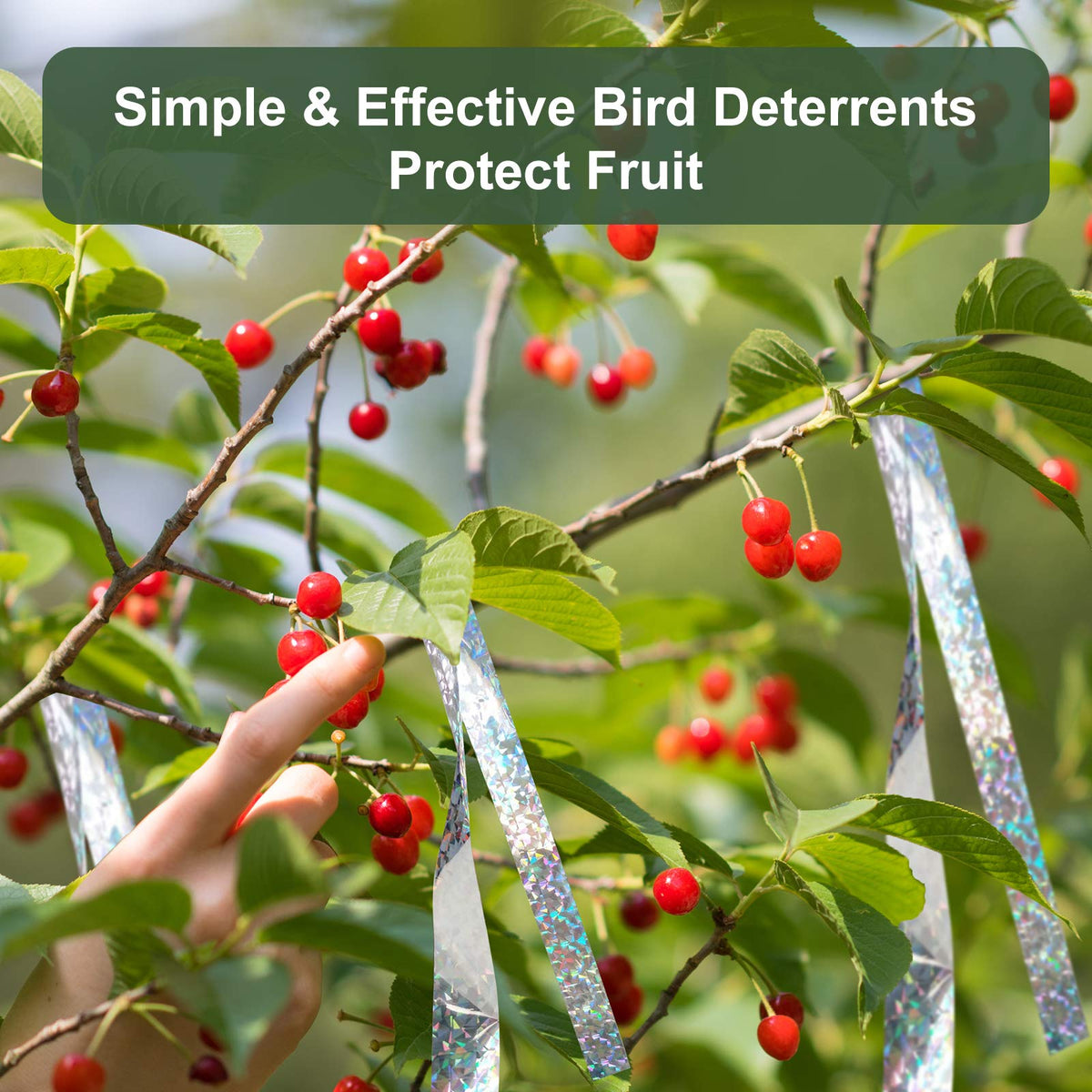ifealclear ideal for gardens, farms, roofs, and orchards to protect crops