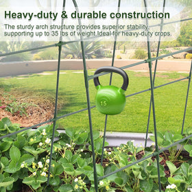 iGreely stainless core with protective coating supports vines without rusting.