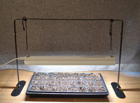 iGrowtek seed starter kit supports indoor plant growth.