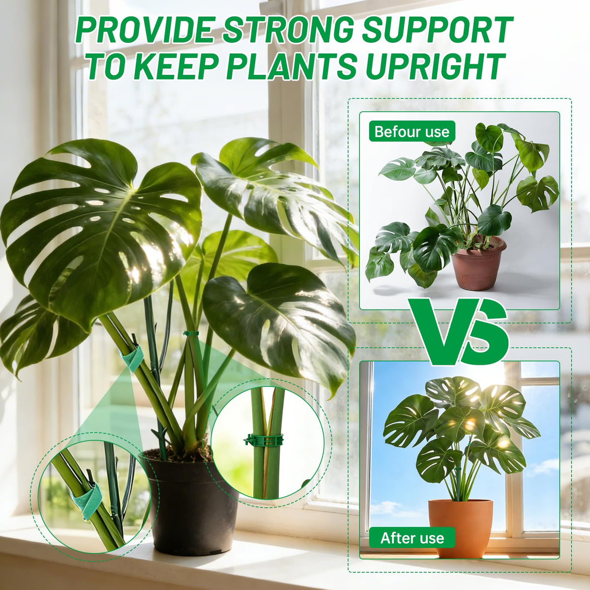 IKKAB green stakes blend with foliage for discreet indoor plant support.