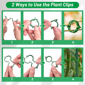 IKKAB monstera stake in use guides vines along a support.