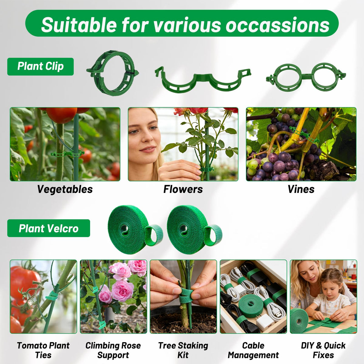 IKKAB stake inserted into soil supports stems without root disturbance.