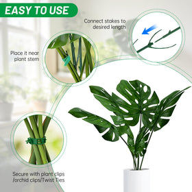 IKKAB velcro ties 2m rolls offer soft, secure support for vines.