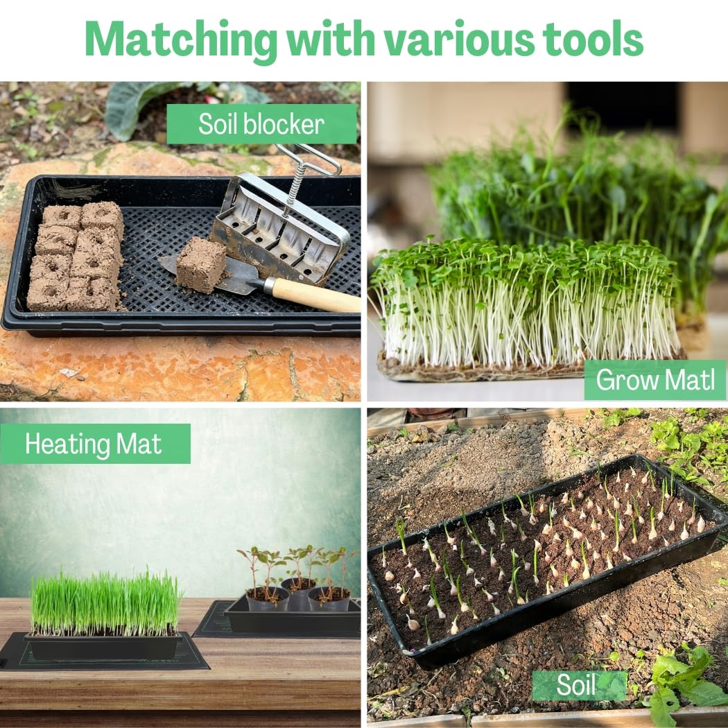 ILITING microgreens hydroponics setup using 1020 trays for efficient growing.