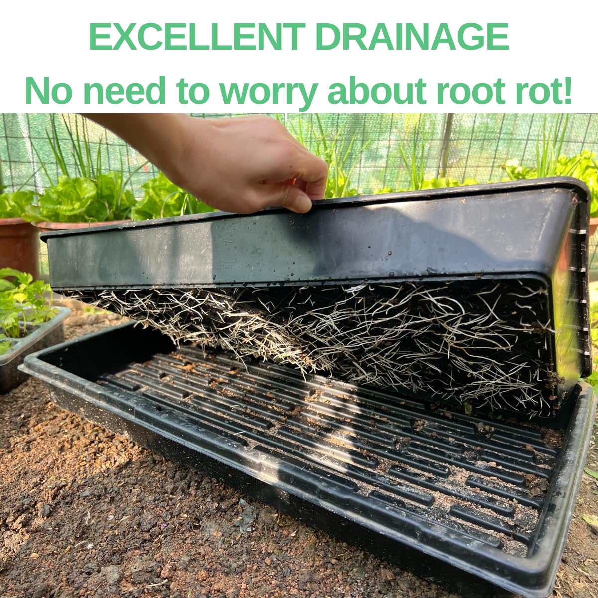 ILITING no-hole seed tray catching excess water keeps workspace tidy.