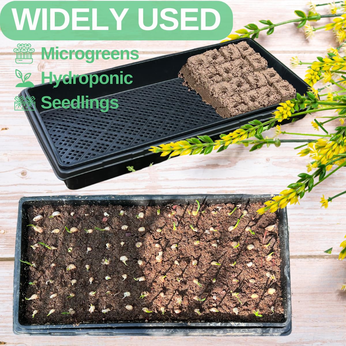 ILITING seed starting setup with 1020 trays for germination and microgreens.