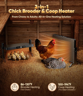 ILOJUST 2-in-1 heater plate warms chicks to safe temperatures