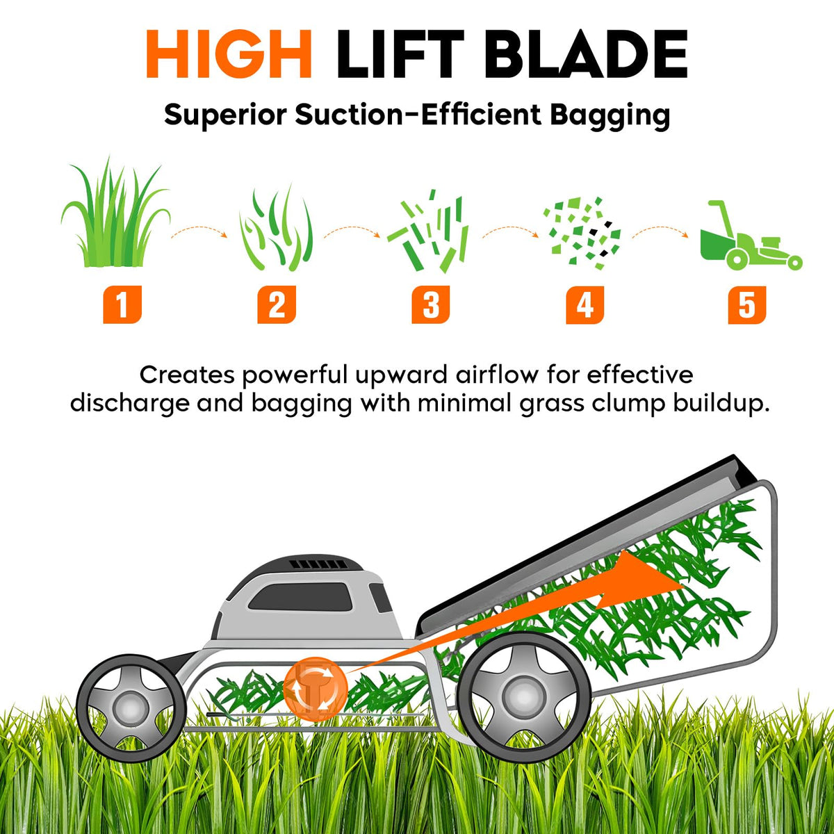 Blade dimensions: length 21-1/4 inches, width 2-5/8 inches.
