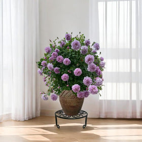 iLTreFlo no-assembly-needed setup allows quick placement of your plants.