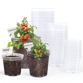 homenote clear nursery pot 4-inch with transparent walls for easy root observation