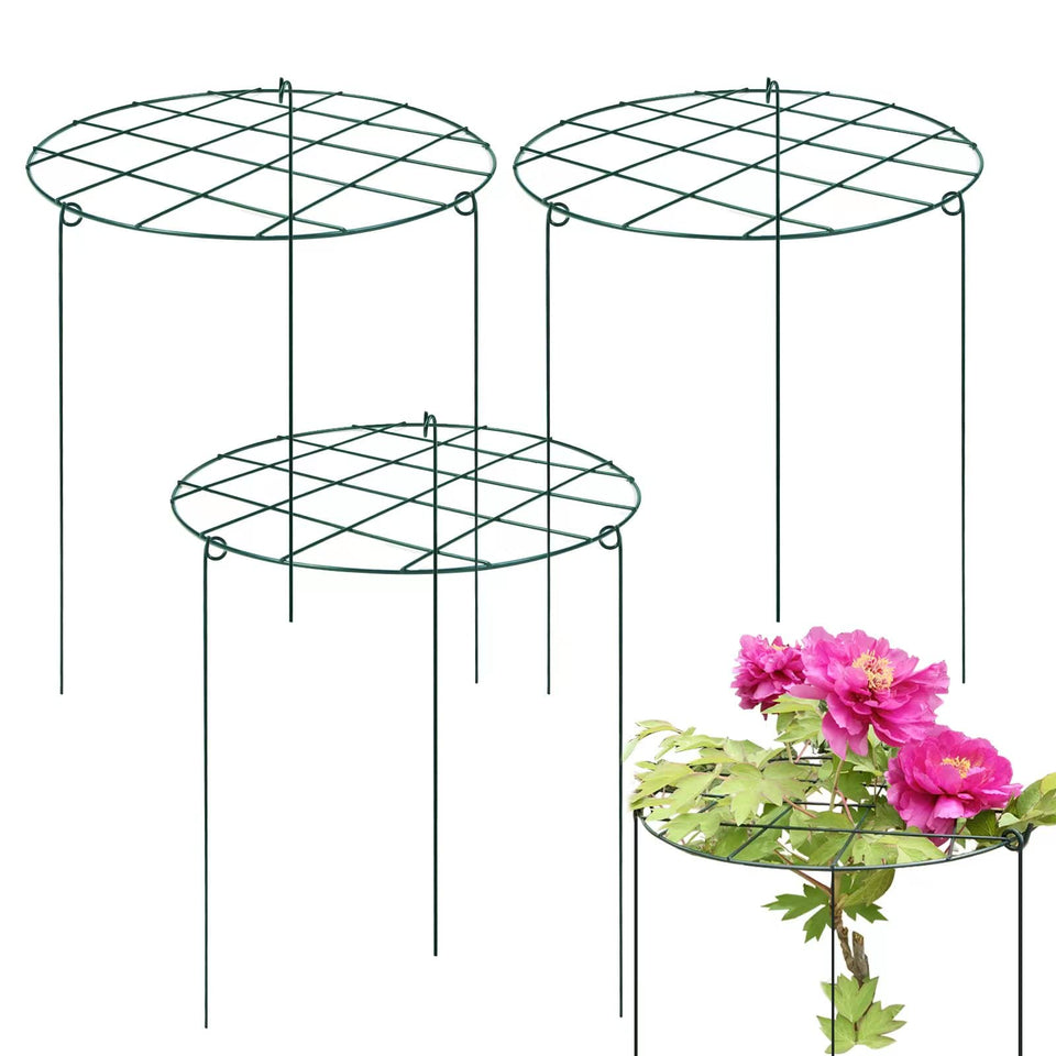 Sekcen 6 Pack Peony Support Cage – Grow-Through Plant Supports, 16 x 24 Inch