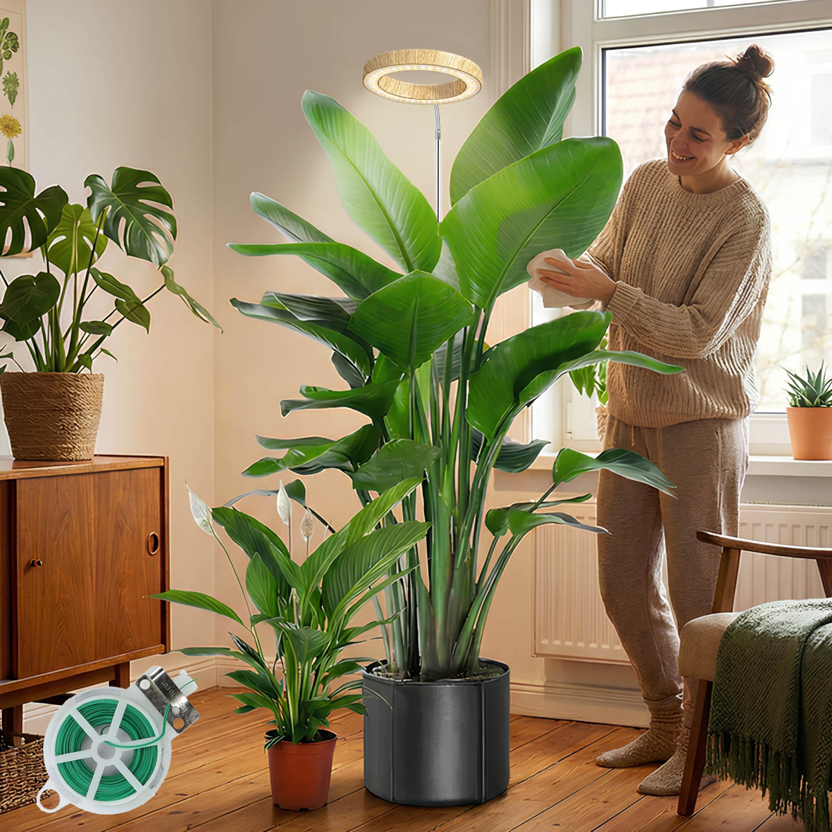 MUSELUCE Grow Light for Indoor Plants | Full Spectrum LED, Wood Grain Finish, 9.8–65in Height, Auto Timer