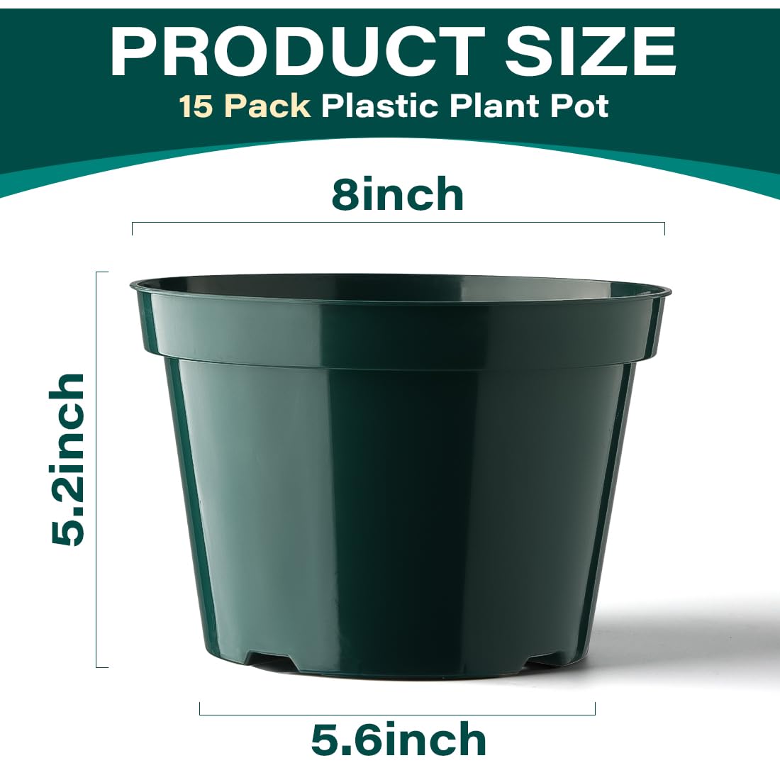 BTPLASTIK 6- and 8-Inch pots dimensions display for planning plant layouts