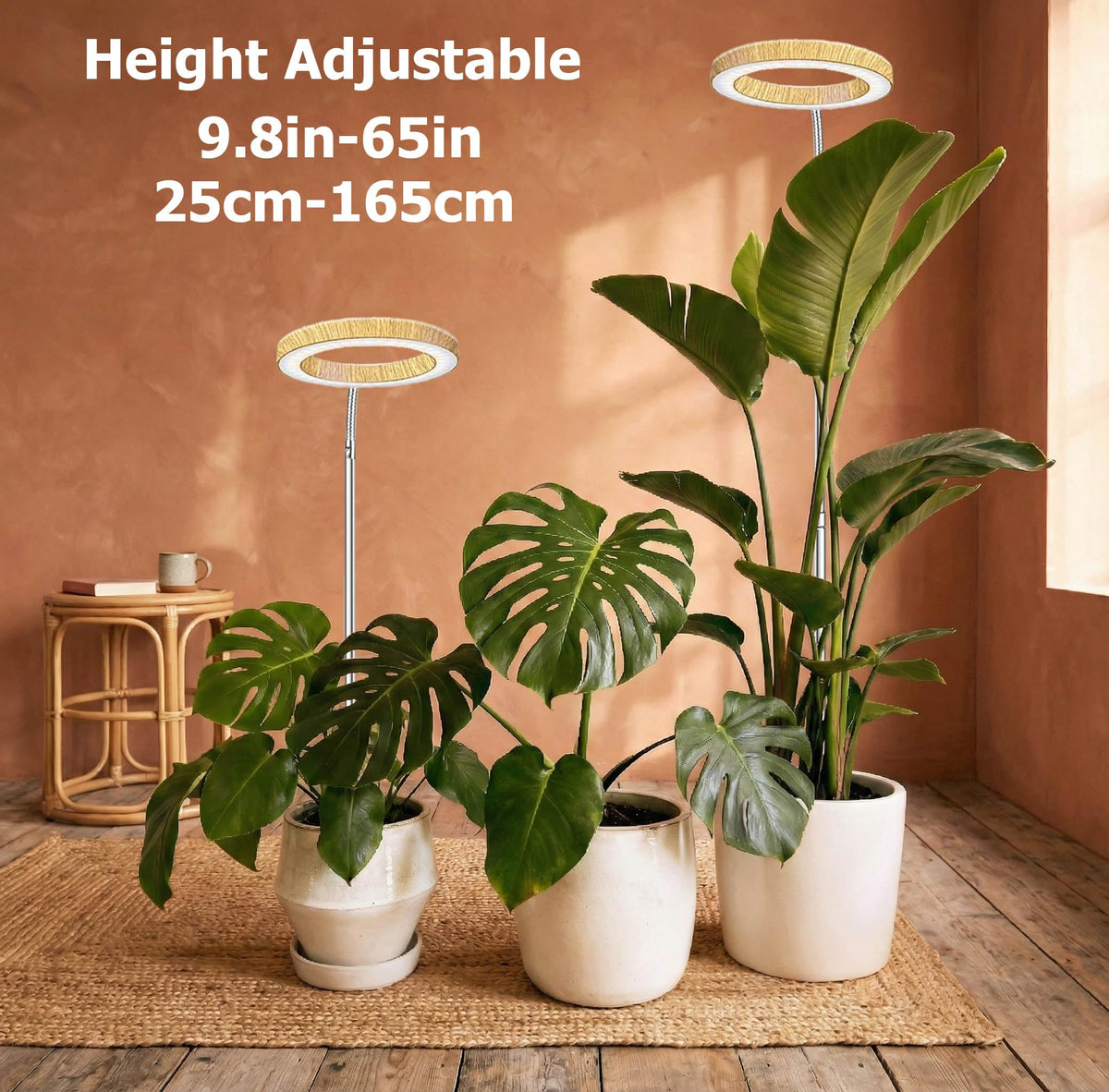 MUSELUCE Grow Light for Indoor Plants | Full Spectrum LED, Wood Grain Finish, 9.8–65in Height, Auto Timer