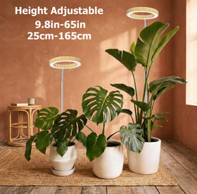 MUSELUCE Grow Light for Indoor Plants | Full Spectrum LED, Wood Grain Finish, 9.8–65in Height, Auto Timer
