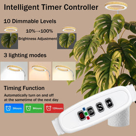 MUSELUCE Grow Light for Indoor Plants | Full Spectrum LED, Wood Grain Finish, 9.8–65in Height, Auto Timer