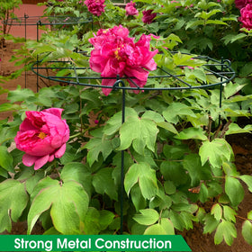 Sekcen 6 Pack Peony Support Cage – Grow-Through Plant Supports, 16 x 24 Inch
