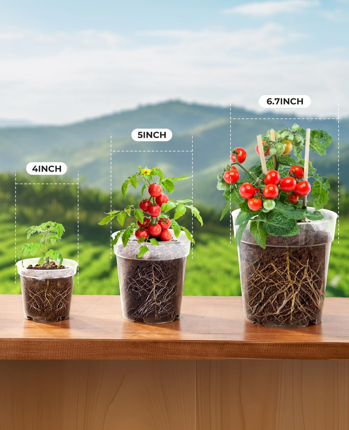 homenote clear nursery pot drainage holes promote proper aeration and drainage