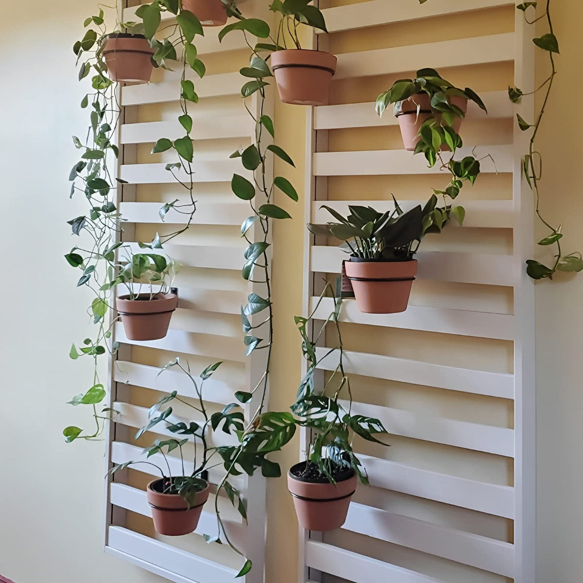 Maosen wall-mounted plant ring on outdoor wall showcasing modern decor