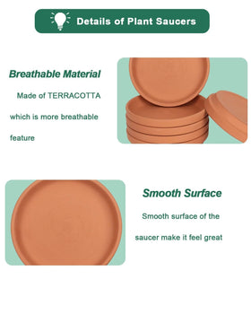 vensovo 4 Inch Terracotta Plant Saucer Pots Tray - 6 Pcs Round Planter Saucers for Indoor & Outdoor Plants, Small Clay Trays Perfect for 3 Inch 3.5 Inch 4 Inch Flower Pot