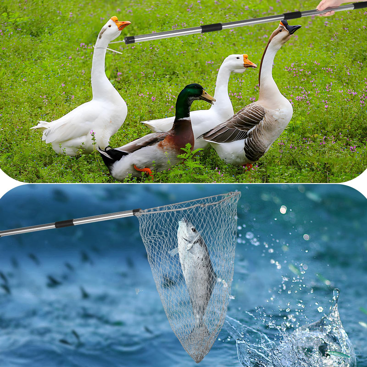 NigWarm catcher suitable for chickens, ducks, geese and small pets in farms.