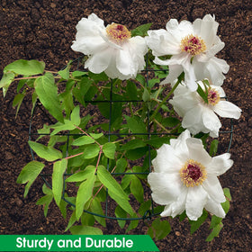 Sekcen 6 Pack Peony Support Cage – Grow-Through Plant Supports, 16 x 24 Inch